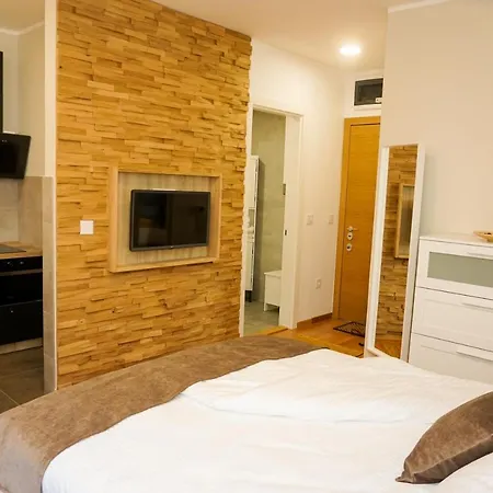 公寓 Palace - Pupinova Palata 诺威萨