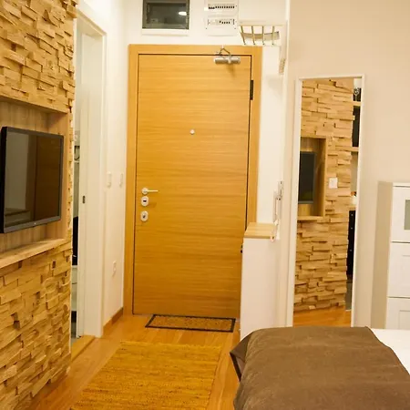 公寓 Palace - Pupinova Palata