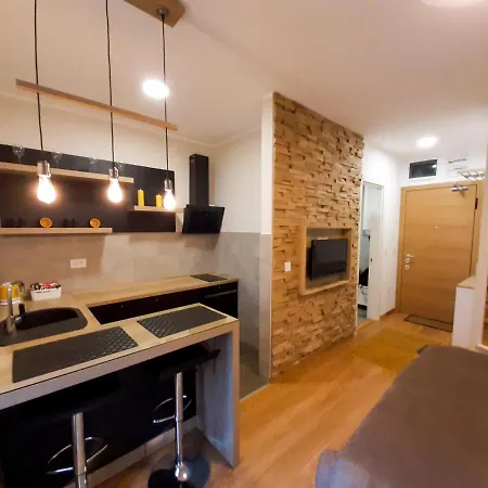 公寓 Palace - Pupinova Palata 诺威萨